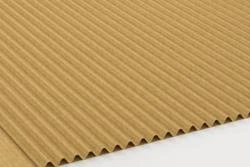 Formato microcanal (E)