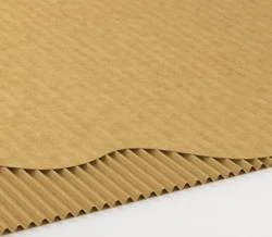 Plancha minimicro (F)