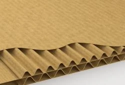 Plancha micro+canal 5 (EC)