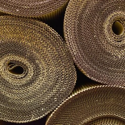 Bobina embalaje C-3 60 cm x100m-3