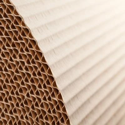 Bobina embalaje C-3 60 cm x100m-4