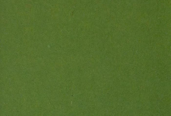 Cartulina Oliva 330 gr